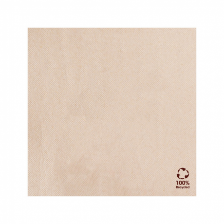 Guardanapo &quot;Double Point&quot; Ecolabel  20X20Cm  100Unid        