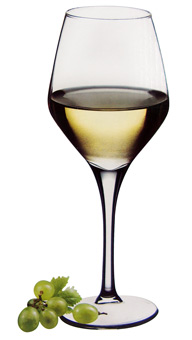 Calice Dream 44581   38 Cl Pasabahce                        