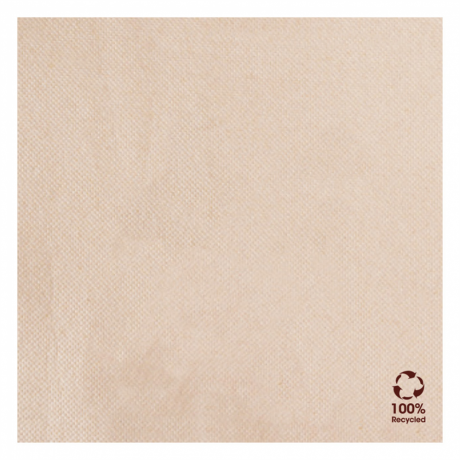 Guardanapos &quot;Double Point&quot; Ecolabel 33X33Cm 50Unid          
