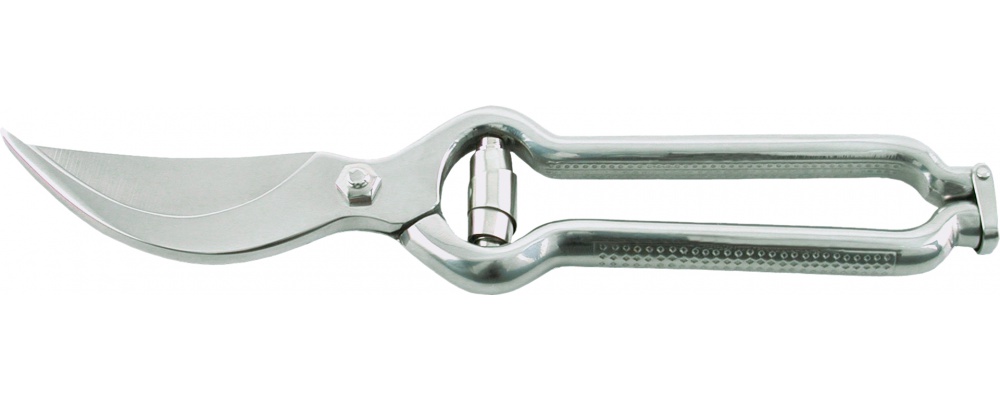 Tesoura Inox Para Churrasco/Leitao 25Cm                     