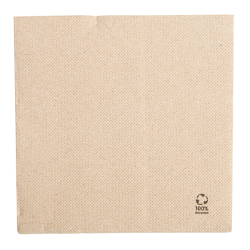 Guardanapos Natural Tissue Reciclado 30X30Cm 50 Unid.       