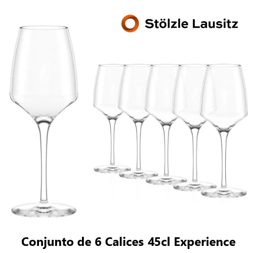 Experience Calice 45Cl 58/84X225Mm Stolzle Lausitz Pack-6   