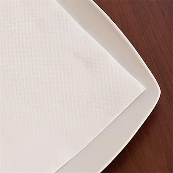 Guardanapos Ecolabel Double Point 20X20Cm 100 Unid.         