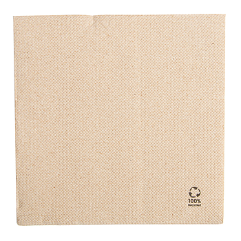 Guardanapos Natural Tissue Reciclado 30X30Cm 50 Unid.       