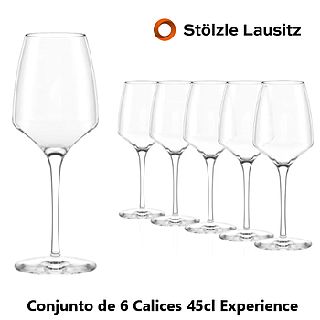 Experience Calice 45Cl 58/84X225Mm Stolzle Lausitz Pack-6   
