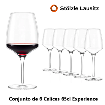 Experience Calice 65Cl 66/94,5X236Mm Stolzle Lausitz Pack-6 